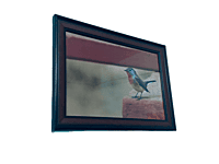 Beautifully photographed in their natural habitat and elegantly framed red-breasted fly catcher in the wild || wildlife photograhy || Professionally captured photo || bird in a frame || 9.5 * 13.5 IN Beautifully photographed in their natural habitat and elegantly framed red-breasted fly catcher in the wild || wildlife photograhy || Professionally captured photo || bird in a frame || 9.5 * 13.5 IN