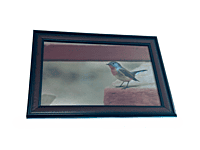 Beautifully photographed in their natural habitat and elegantly framed red-breasted fly catcher in the wild || wildlife photograhy || Professionally captured photo || bird in a frame || 9.5 * 13.5 IN Beautifully photographed in their natural habitat and elegantly framed red-breasted fly catcher in the wild || wildlife photograhy || Professionally captured photo || bird in a frame || 9.5 * 13.5 IN